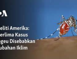 “Perubahan Iklim Memicu Seperlima Kasus Dengeu”