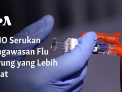 Meningkatkan Pengawasan Flu Burung: Seruan WHO untuk Kewaspadaan yang Lebih Ketat