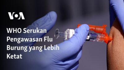 Meningkatkan Pengawasan Flu Burung: Seruan WHO untuk Kewaspadaan yang Lebih Ketat