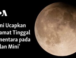 “Kenangan di Bulan Kecil”