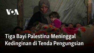 Tragedi Kematian Bayi Palestina karena Kedinginan di Tenda Pengungsian