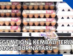 Mencuatnya Harga Telur Jelang Libur Natal