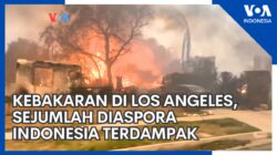 Dampak Kebakaran di Los Angeles Terhadap Komunitas Diaspora Indonesia