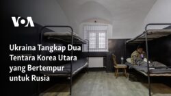 Ukraina Menangkap Dua Prajurit Korea Utara yang Berjuang di Sisi Rusia