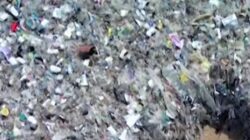 Bali Terendam Sampah Plastik: Bencana Terparah di Pantai