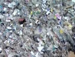 Bali Terendam Sampah Plastik: Bencana Terparah di Pantai