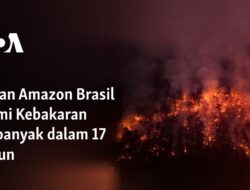 Hutan Amazon Brasil Terjadi Kebakaran Terparah dalam 17 Tahun