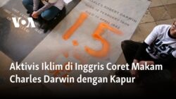 Aktivis Iklim Inggris Menyabot Makam Charles Darwin dengan Kapur