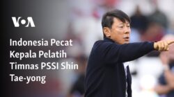 Indonesia Memecat Shin Tae-yong, Pelatih Timnas PSSI