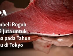 Pembeli Membayar $1,3 Juta untuk Tuna di Tokyo Saat Tahun Baru